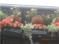 d4c01094-Marica auto 708.jpg